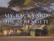 My backyard the Serengeti.jpeg