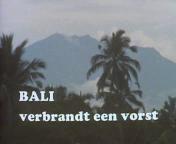Bali verbrandt een vorst titel.jpg