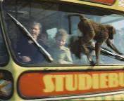 In een safari-bus door de Beekse Bergen.jpeg