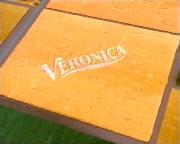 Bestand:Veronica leader 'graanveld' 2003.JPG