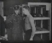 Germaanse vrijwilligers in de Waffen-SS.jpg