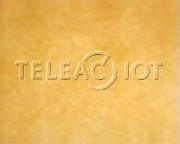 Bestand:Teleac-NOT einde 1997-2000.JPG