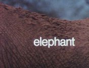 Bestand:De olifant (1985) titel.jpg