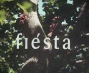 Fiesta amateurfilm titel.jpg
