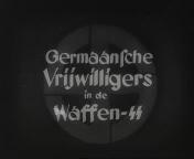 Germaanse vrijwilligers in de Waffen-SS titel.jpg