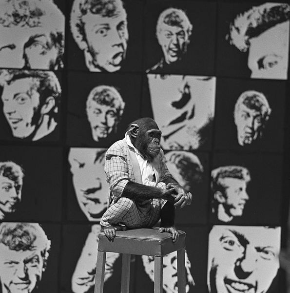 Bestand:FTA001004788 004 con.jpg