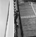 Miniatuurafbeelding voor de versie van 17 jun 2010 13:26