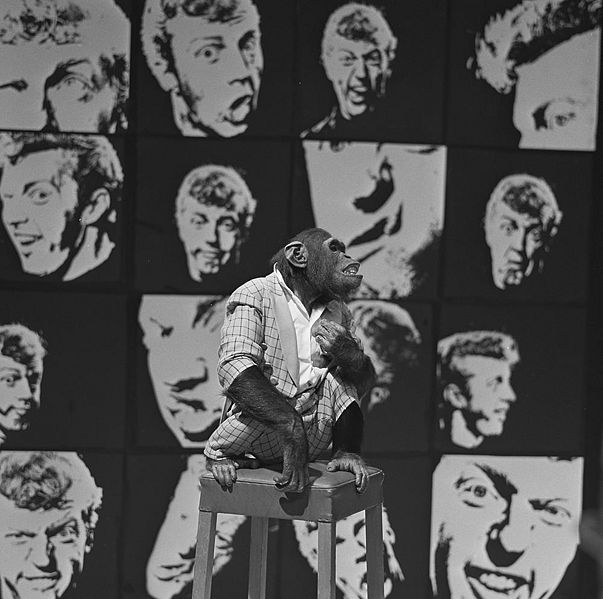 Bestand:FTA001004788 003 con.jpg