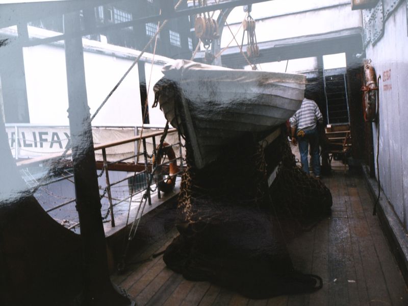 Bestand:Zomer '45 (10).jpg